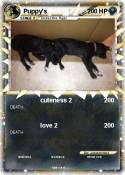 Puppy's
