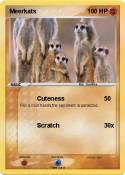 Meerkats