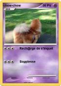 chow-chow