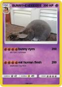 BUNNY>EXEEEEEE