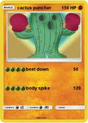 cactus puncher