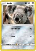 koala