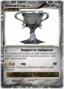 Triwizard Cup