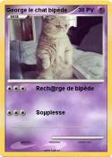 George le chat