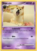 Doge