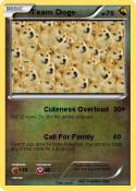 Team Doge