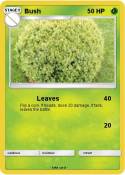 Bush