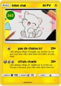 bébé chat