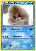 Snow Monke