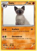Gatita
