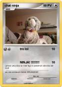 chat ninja