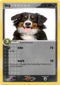 dog