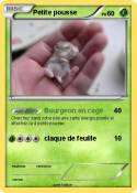 Petite pousse