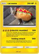 cat meme