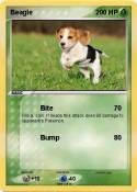 Beagle