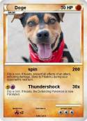Doge