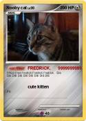 Nooby cat