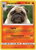 pug going nuts