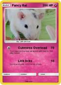 Fancy Rat