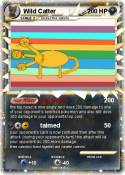 Wild Catter