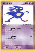 SANIC EX