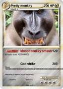 Pretty monkey
