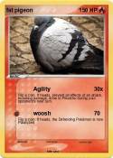 fat pigeon
