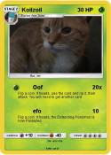 Koilzoil