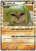melon cat