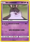 BIG CHUNGUS