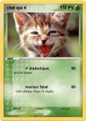 chat qui ri