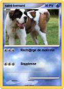 saint-bernard