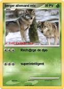 berger allemand