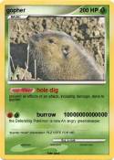 gopher