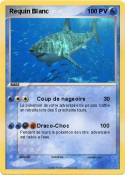 Requin Blanc