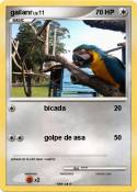gailanr