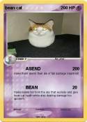 bean cat