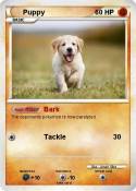 Puppy