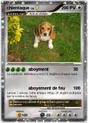 chientaque
