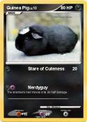 Guinea Pig