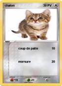 chaton