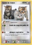 bande de chaton