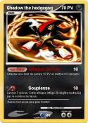 Shadow the hedg