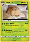 Smart Cat