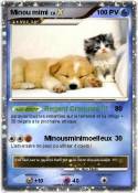 Minou mimi
