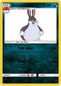 BIG CHUNGUS