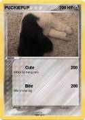 PUCKIEPUP