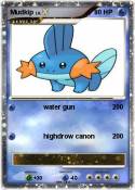Mudkip