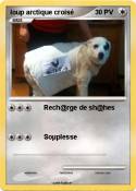 loup arctique