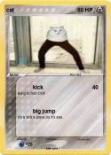 cat